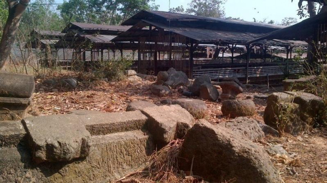 Penemuan candi kuno di Semarang Jawa Tengah.
