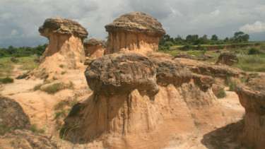 Bukit Jamur terletak di Desa Bungah, Gresik, Jawa Timur.
