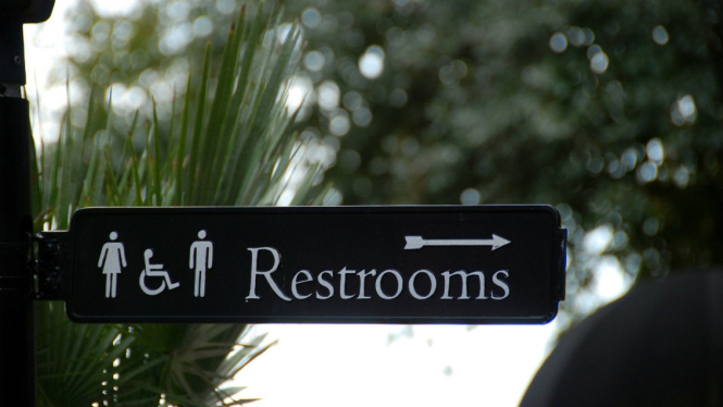 Ilustrasi toilet.