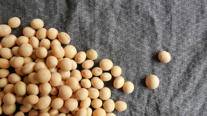 Kacang-kacangan.