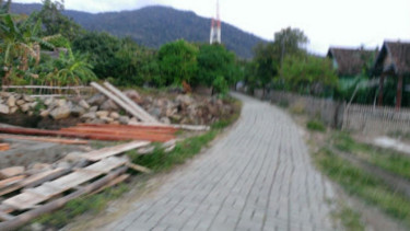 Kampung Paniis