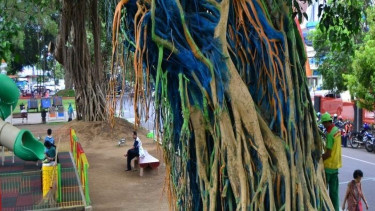 Pohon beringin warna-warni di alun-alun Kota Malang Jawa Timur