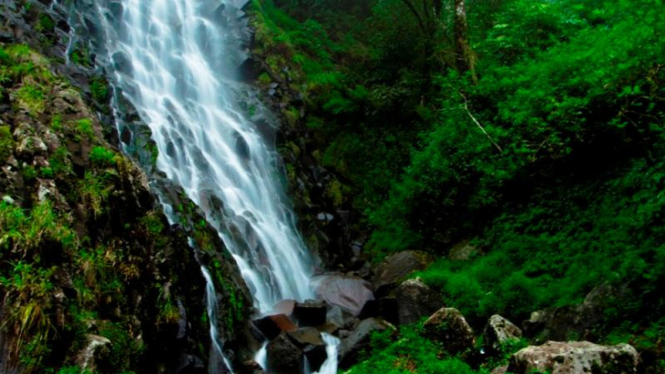 Air Terjun Pundak Kiwo