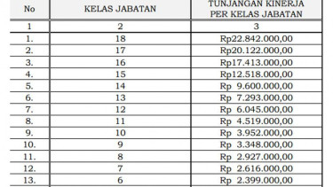 Tunjangan baru PNS BKN.
