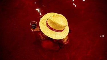 Kolam wine