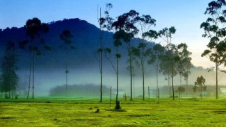 Wisata Alam Ranca Upas Ciwidey yang Tak Terlewatkan