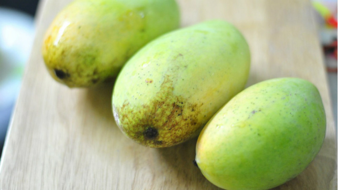 Ilustrasi mangga