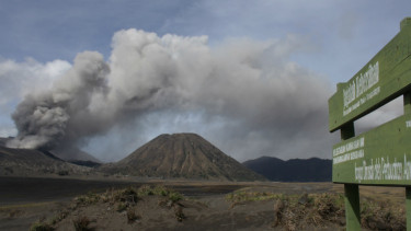Bromo siaga