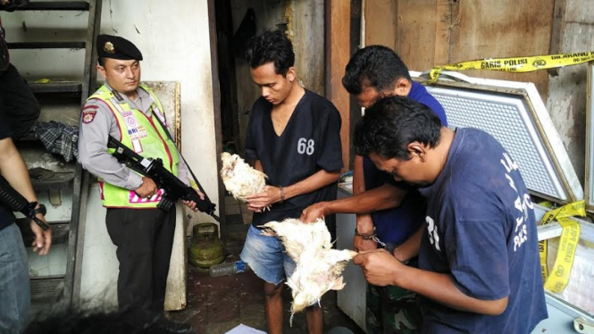 Ayam tiren