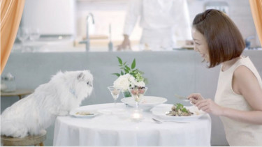 Makan bersama kucing