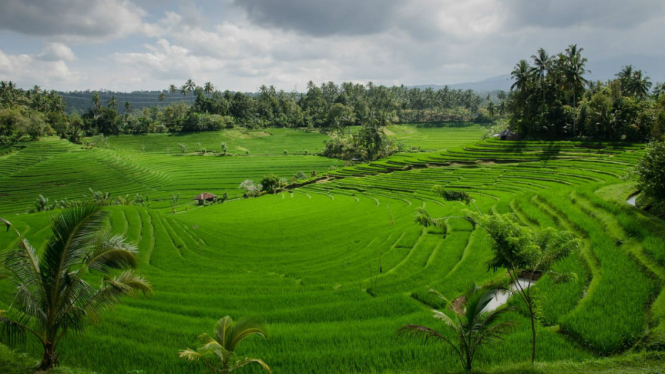 Pemandangan Bali