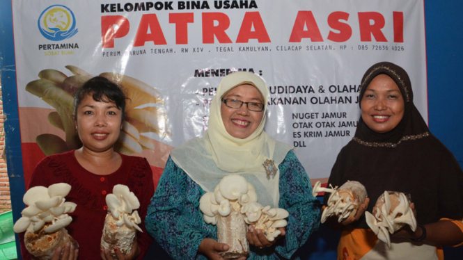 Rumdani di tempat budidaya jamur