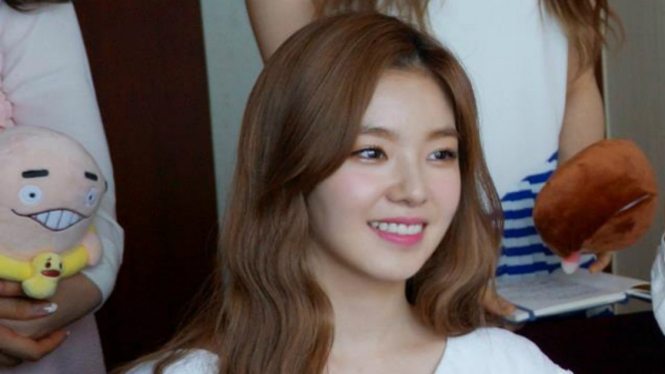 Personel Red Velvet Irene