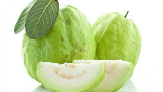 Manfaat Kulit Jambu Biji bagi Penderita Diabetes