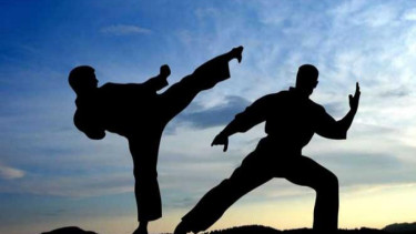 Jurus kungfu/Ilustrasi.