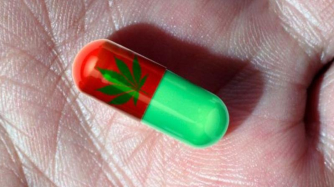 Kapsul ganja