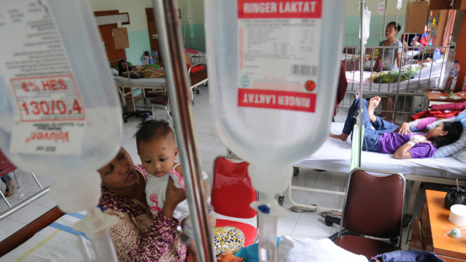 Pasien Demam Berdarah Dengue (DBD) Meningkat
