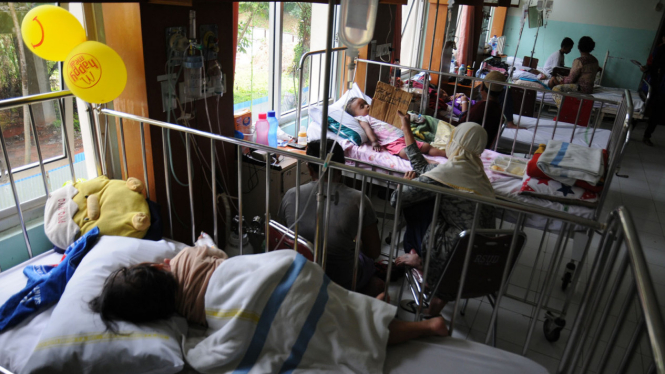 Pasien Demam Berdarah Dengue (DBD)