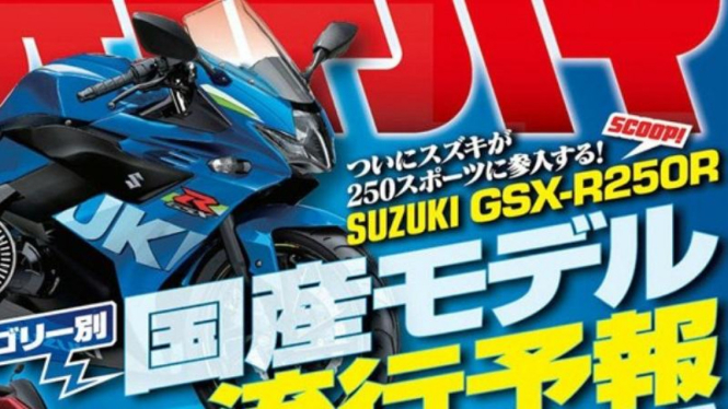 Suzuki GSX-R250R.