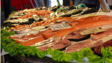 Ilustrasi daging ikan