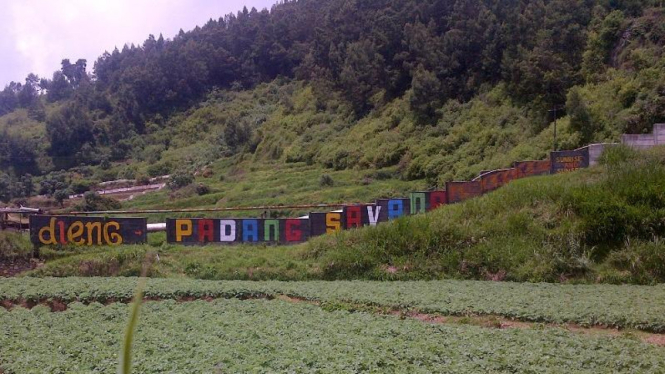 Gunung Pangonan, Dieng