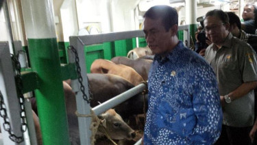 Menteri Pertanian, Amran Sulaiman meninjau kapal ternak Camara Nusantara I