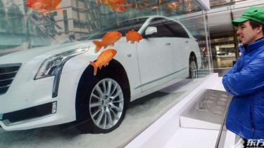 Cadillac CT6 yang dimasukkan ke  akuarium.