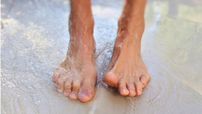Ilustrasi kaki.