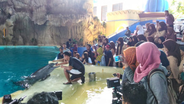 Ocean Dream Samudera Ancol Taman Impian