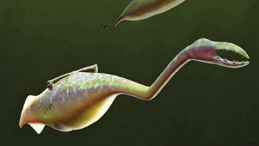 Bentuk makhluk aneh Tully Monster