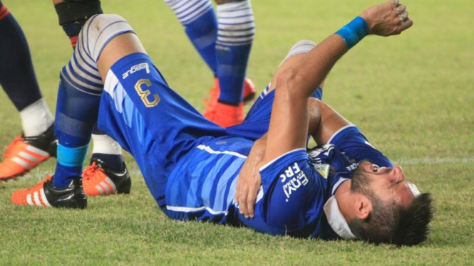Pemain Persib Bandung, Vladimir Vujovic.