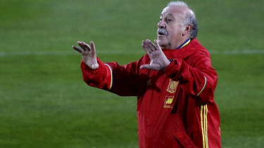 Pelatih Timnas Spanyol, Vicente Del Bosque