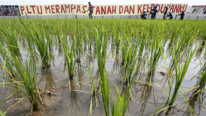 Petani, nelayan, bersama aktivis menggelar aksi menolak berdirinya Pembangkit Listrik Tenaga Uap (PLTU) Batang, di kawasan pesawahan Ponowareng, Batang, Jawa Tengah, Selasa (5/4/2016).