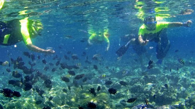 Taman Laut Bunaken