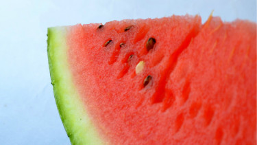 Buah semangka.