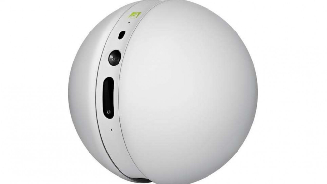 LG Rolling Bot