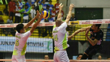 Proliga 2016