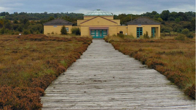 Corlea Trackway