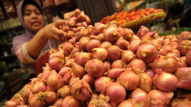 Pedagang menata bawang merah di kiosnya.