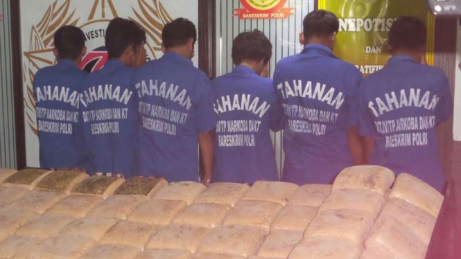 Penggagalan ratusan ganja siap edar.