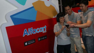 Tim Alfacart.com