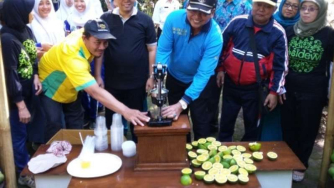 Wisata petik jeruk di Taman Buah Jeru, Desa Jeru, Malang.