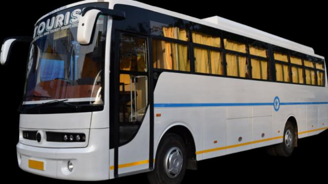 Bus