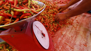 Harga cabai naik 