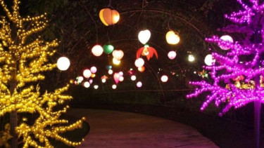 Festival Lampion Bogor