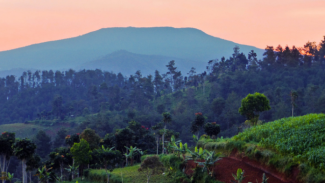 Gunung di Jawa Tengah yang Oke Dijadikan Tempat Kamping