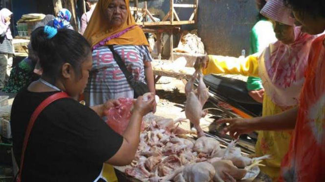 Seorang pedagang ayam sedang melayani pembeli. Menjelang lebaran, harga daging ayam meroket.