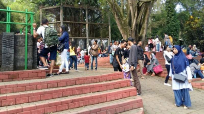 Suasana Kebun Binatang Kota Bandung Jawa Barat, Jumat, 8 Juli 2016.