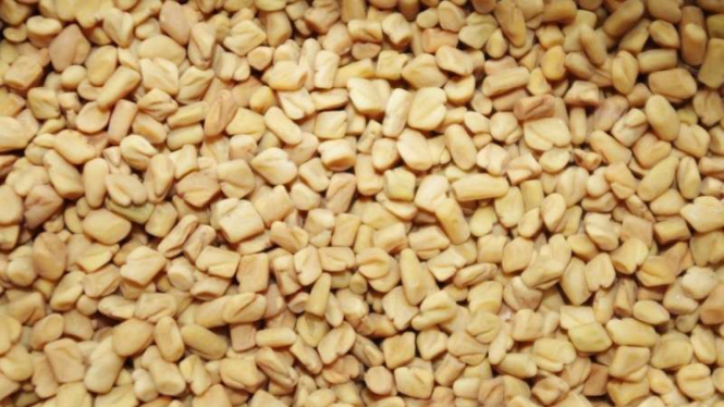 Fenugreek