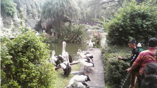 Taman Margasatwa Ragunan